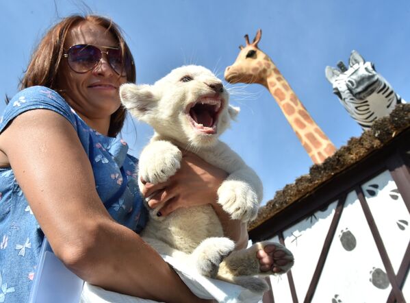 Сотрудница зоопарка держит львенка во время презентации зоопарка 12 месяцев в Демидове, Украина