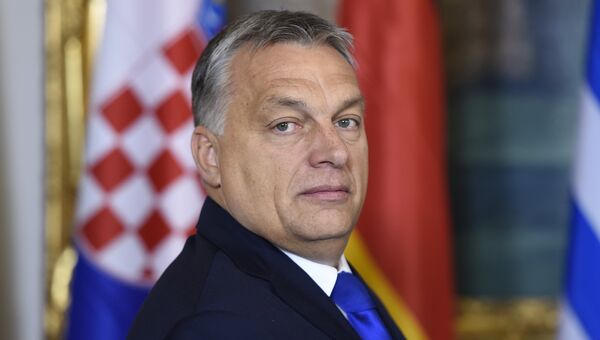 Венгерский премьер-министр Виктор Орбан во время визита в Вену