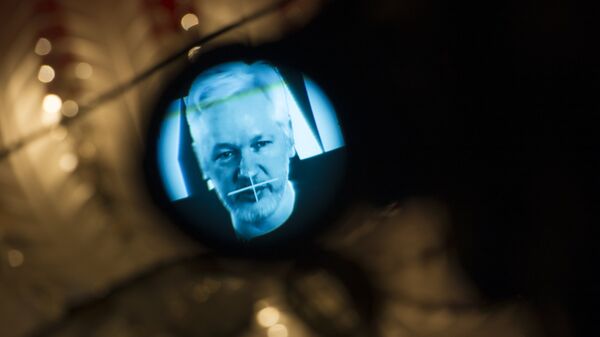 Основатель WikiLeaks Джулиан Ассанж во время видеобращения. Архивное фото