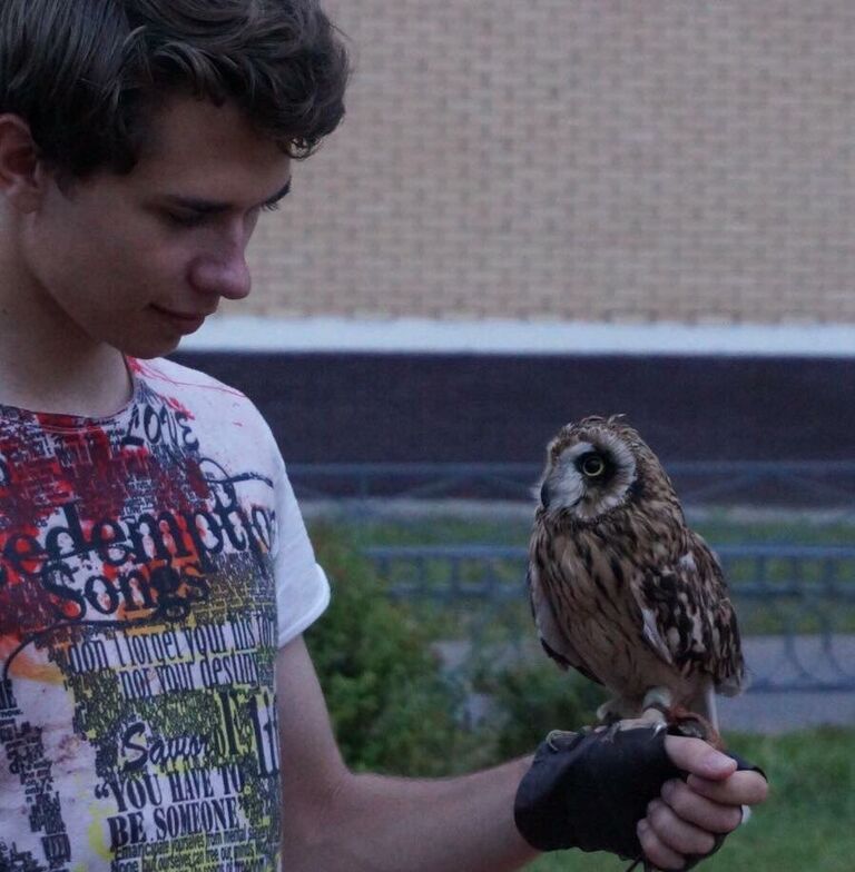 Болотная сова Болотная сова