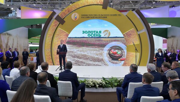 Премьер-министр РФ Дмитрий Медведев на выставке Золотая осень. 5 октября 2016