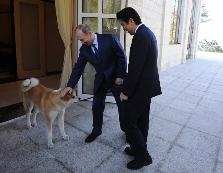 Президент России Владимир Путин и премьер-министр Японии Синдзо Абэ во время встречи в резиденции Бочаров ручей Президент России Владимир Путин и премьер-министр Японии Синдзо Абэ во время встречи в резиденции Бочаров ручей