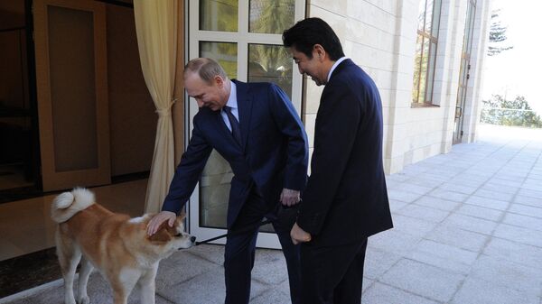 Russian President Vladimir Putin and Japanese Prime Minister Shinzo Abe met at the Bocharov Ruchei residence.