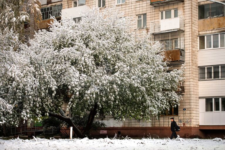 Первый снег на улице Омска