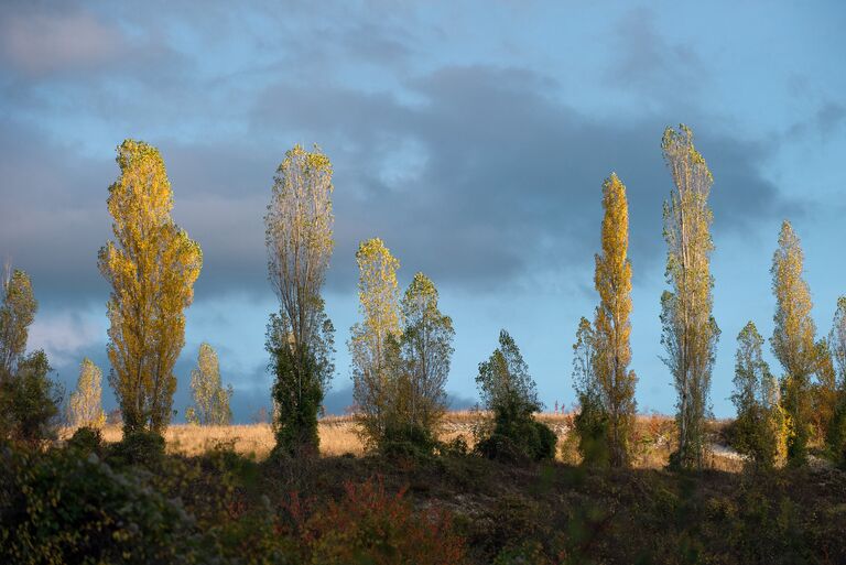 Осень в Крыму