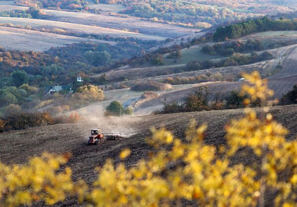 Трактор ведет осеннюю обработку земли в окрестностях села Клиновка Симферопольского района Крыма