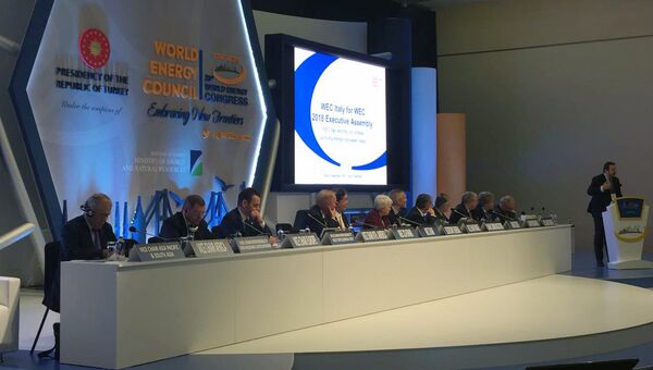 Участники Исполнительной Ассамблеи Мирового энергетического совета в Стамбуле