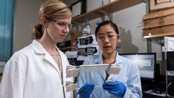 Химики изучают результаты эксперимента по самокопированию ДНК