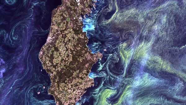 Массовые скоплений фитопланктона в темной воде вокруг острова Готланд в Балтийском море. 2005 год