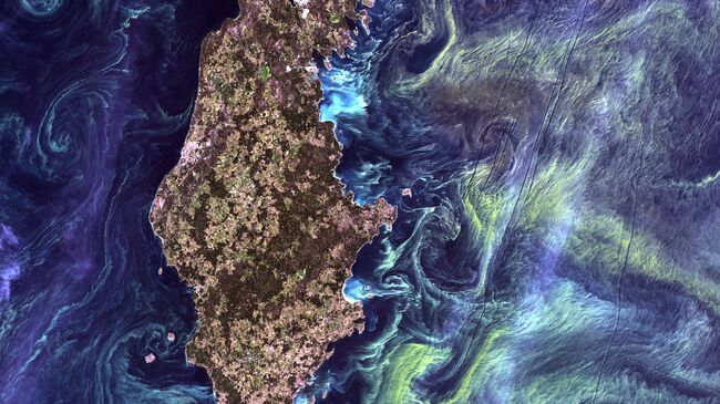 Массовые скоплений фитопланктона в темной воде вокруг острова Готланд в Балтийском море. 2005 год. Архивное фото