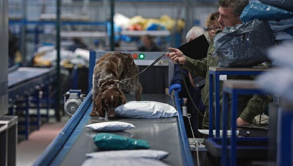 Сотрудник таможенной службы России с собакой проверяет посылки на наличие наркотических и сильнодействующих веществ. Архивное фото
