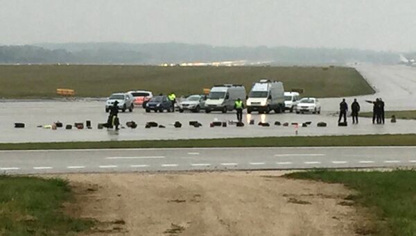 Багаж пассажиров самолета авиакомпании Аэрофлот в аэропорту Женевы после сообщения о возможном взрыве. 13 октября 2016