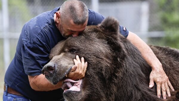 Джим Ковальчик обнимает бурого медведя по кличке Джимбо в приюте The Orphaned Wildlife Center в США