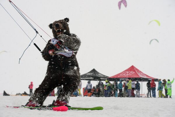 Спортсмен в костюме медведя во время гонок в дисциплине фристайл в рамках кубка Сибири по зимнему кайтингу на льду водохранилища Новосибирской ГЭС