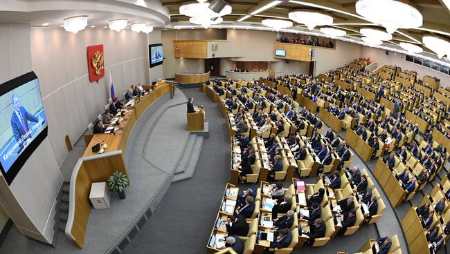 На пленарном заседании Государственной Думы. Архивное фото