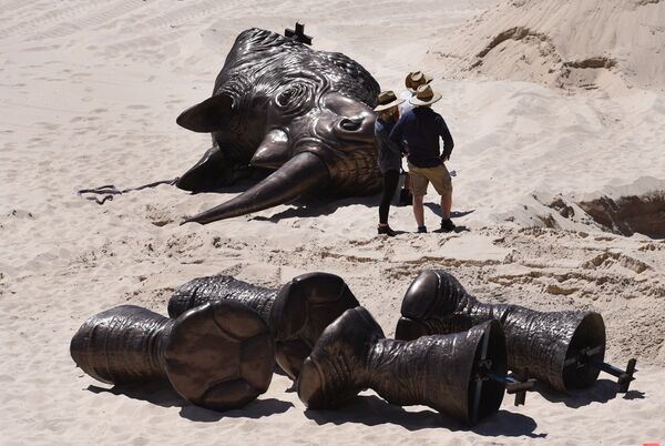Выставка Скульптура у моря на сиднейском пляже Тамарама