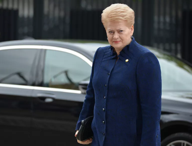 Президент Литвы Даля Грибаускайте на саммите НАТО в Варшаве Президент Литвы Даля Грибаускайте на саммите НАТО в Варшаве