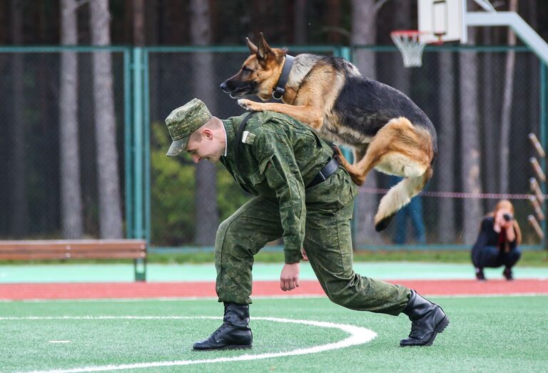 Патриотическое воспитание в Союзном государстве