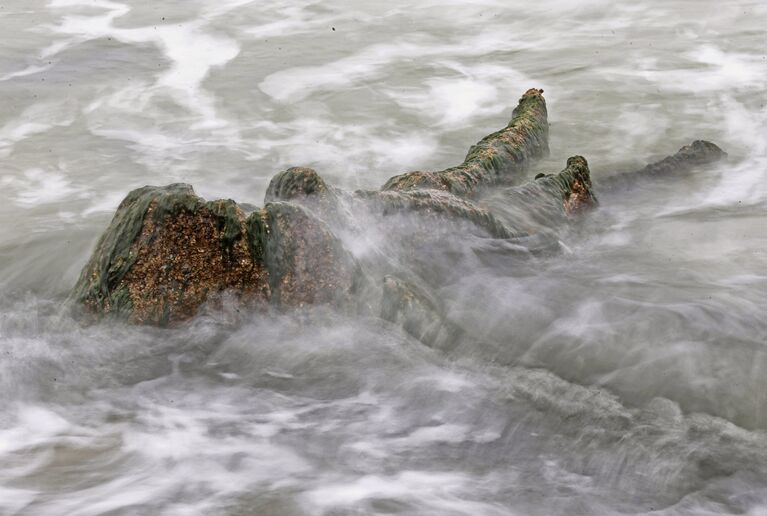 Берег Балтийского моря, где вода отступила от берега на 20 метров, обнажив пни реликтовых деревьев