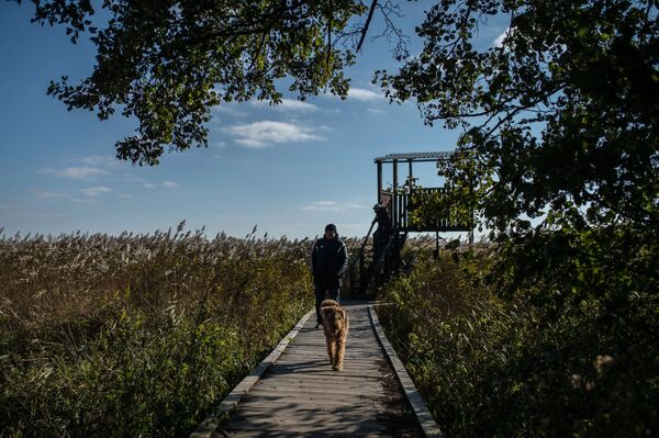 Посетители гуляют на берегу Куршского залива в национальном парке Куршская коса