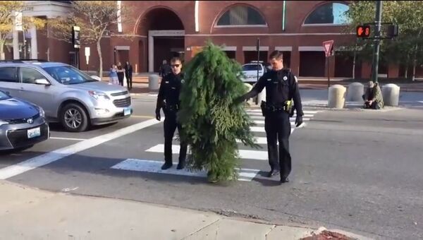 Американские полицейские арестовали человека-дерево