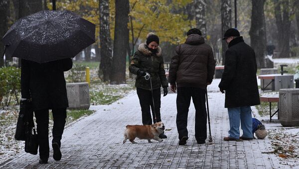 Люди выгуливают собак в одном из парков в Москве.Архивное фото