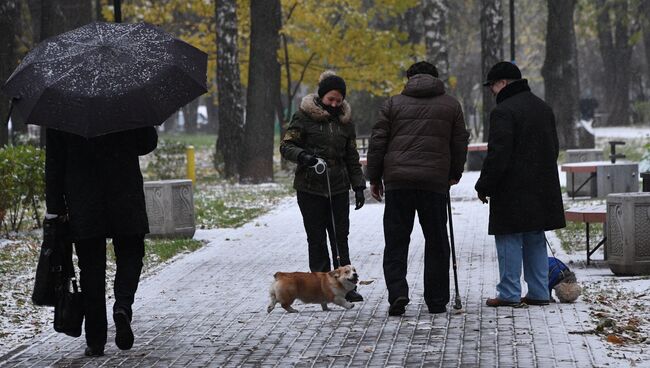 Люди выгуливают собак в одном из парков в Москве. Архивное фото