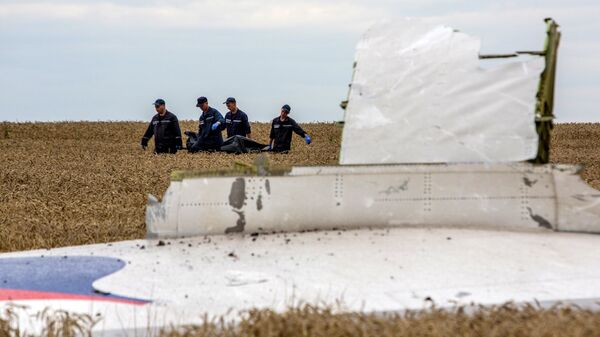 Спасатели выносят тела погибших и обломки самолета Boeing 777 Малайзийских авиалиний. Архивное фото