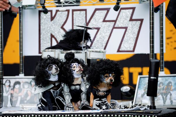 Собаки переодетые в образы участников группы Kiss в Нью-Йорке