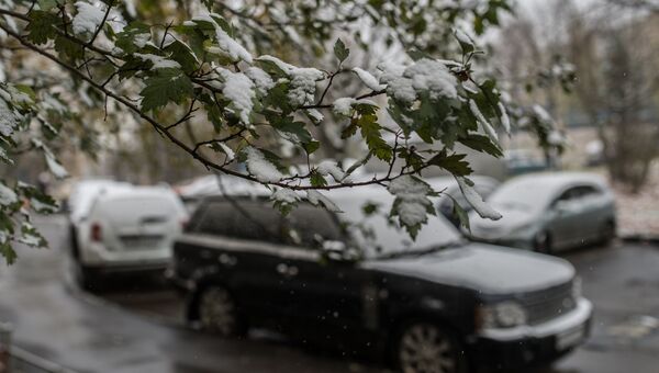 Машины, покрытые снегом на парковке, архивное фото