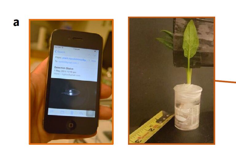 Детектор взрывчатки, созданный на базе шпината и наночастиц