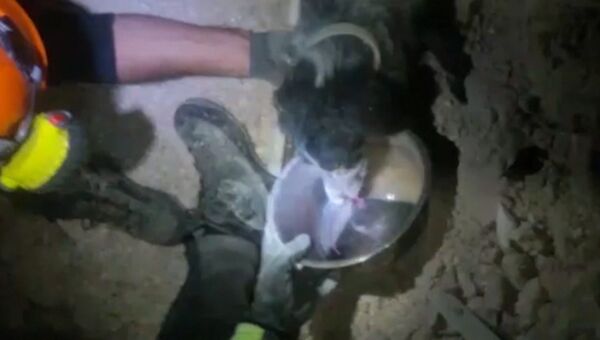 Пожарные поили водой спасенную из-под завалов собаку в городе Норча в Италии