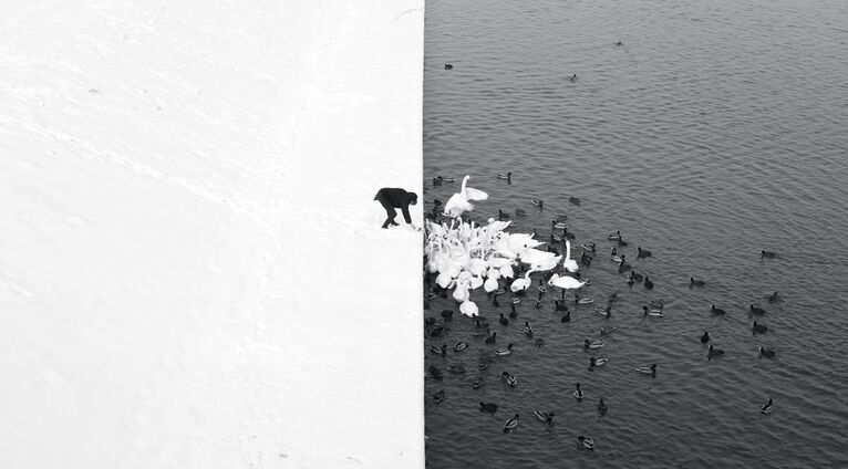 Работа фотографа из Польши Marcin Ryczek A Man Feeding Swans in the Snow, занявшая первое место в категории Open Monochrome на фотоконкурсе Siena International Photography Awards