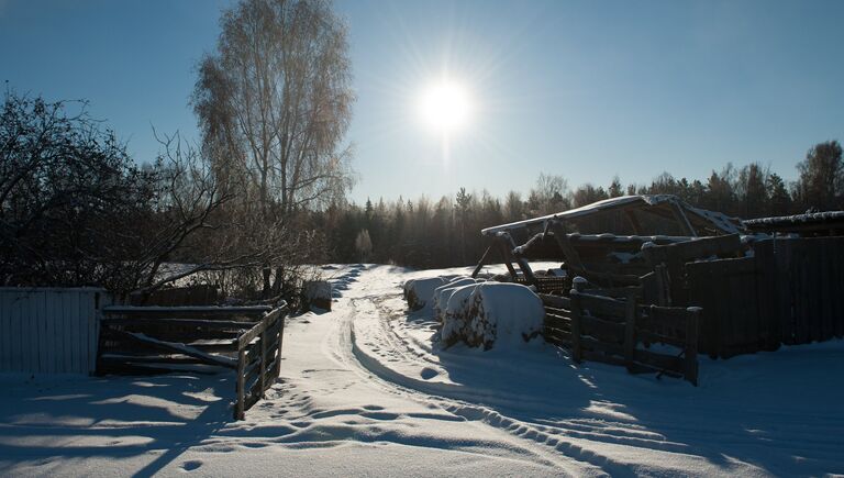 Снег в селе Березовка Томской области