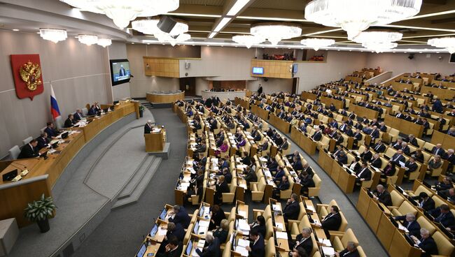 Пленарное заседание Госдумы. Архивное фото