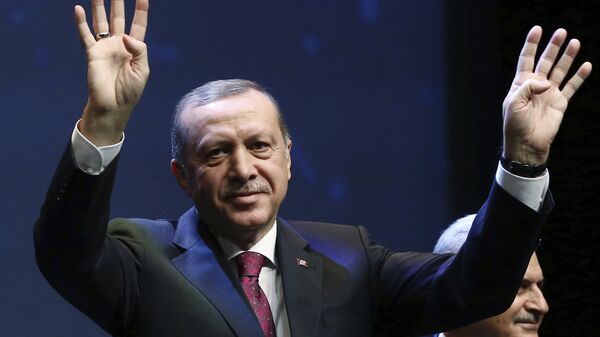 Президент Турции  Реджеп Тайип Эрдоган  в Анкаре. Архивное фото