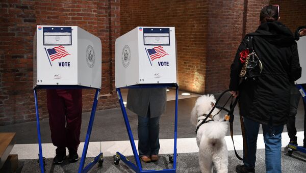 Избиратели голосуют на избирательном участке у Бруклинского музея в Нью-Йорке
