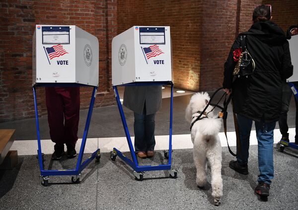 Избиратели голосуют на избирательном участке у Бруклинского музея в Нью-Йорке