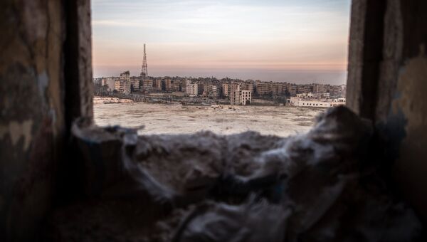 Вид на город Алеппо. Архив