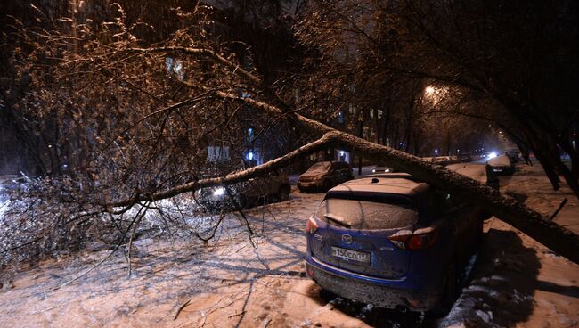 Последствия ледяного дождя в Москве