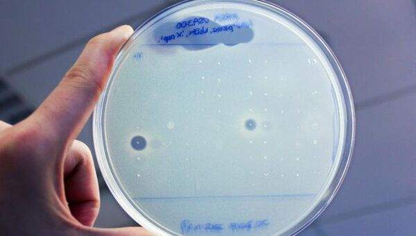 Антибиотики, найденные в теле человека, уничтожают неуязвимую колонию стафилококка
