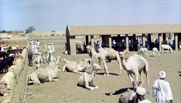Судан. Архивное фото
