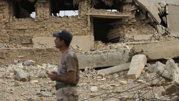 Иракский солдат в городе Нимруд, разрушенном боевиками ИГ, Ирак. Архивное фото