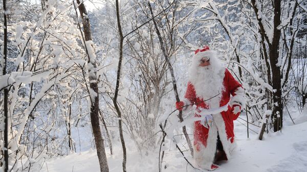 Дед Мороз в зимнем подмосковном лесу. Архивное фото.