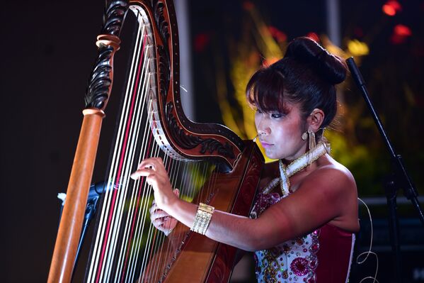 Девушка-музыкант во время саммита АТЭС в Лиме