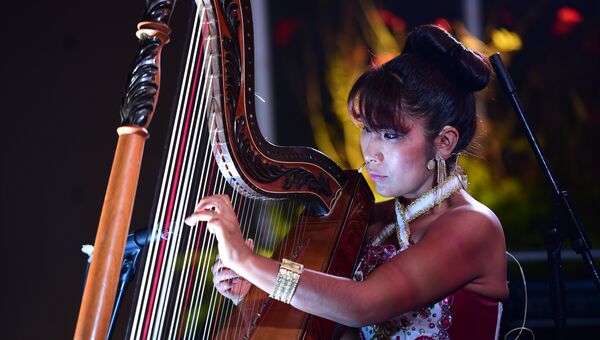 Девушка-музыкант во время саммита АТЭС в Лиме
