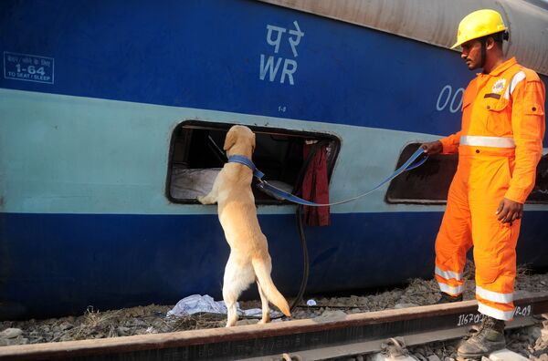 Спасатель с собакой на месте крушения поезда в штате Уттар-Прадеш, Индия.