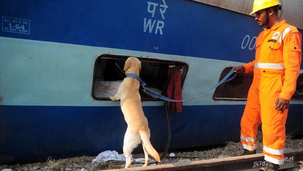 Спасатель с собакой на месте крушения поезда в штате Уттар-Прадеш, Индия. 20 ноября 2016