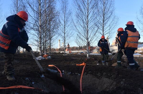 Рабочие высаживают деревья на строительстве парка Зарядье в Москве
