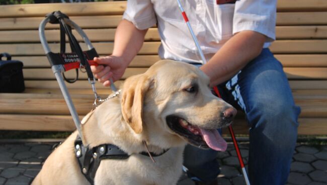 Леонид Шорохов и Ньютон Леонид Шорохов и Ньютон